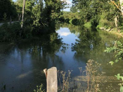 Etang pêche et promenade